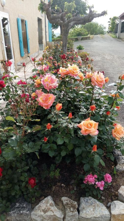 Bed and Breakfast La Vigneronne Villelongue-d'Aude Exterior foto